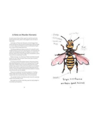 OMFG, BEES!- Bees Are So Amazing and You're About to Find Out Why by Matt Kracht