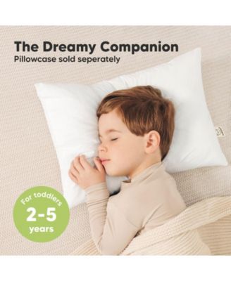 2pk Jumbo Toddler Pillow - Soft Organic Cotton Kids Pillows for Sleeping - 14X20 Travel Pillow for Kids Age 2-5