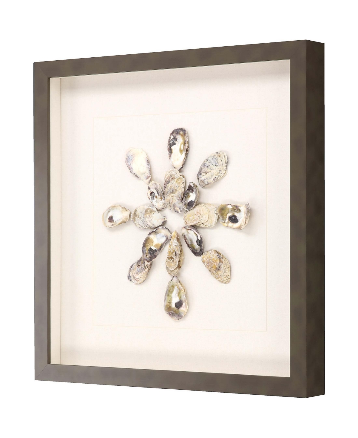 Shop Paragon Picture Gallery Oyster Shell I Framed Art In Beige