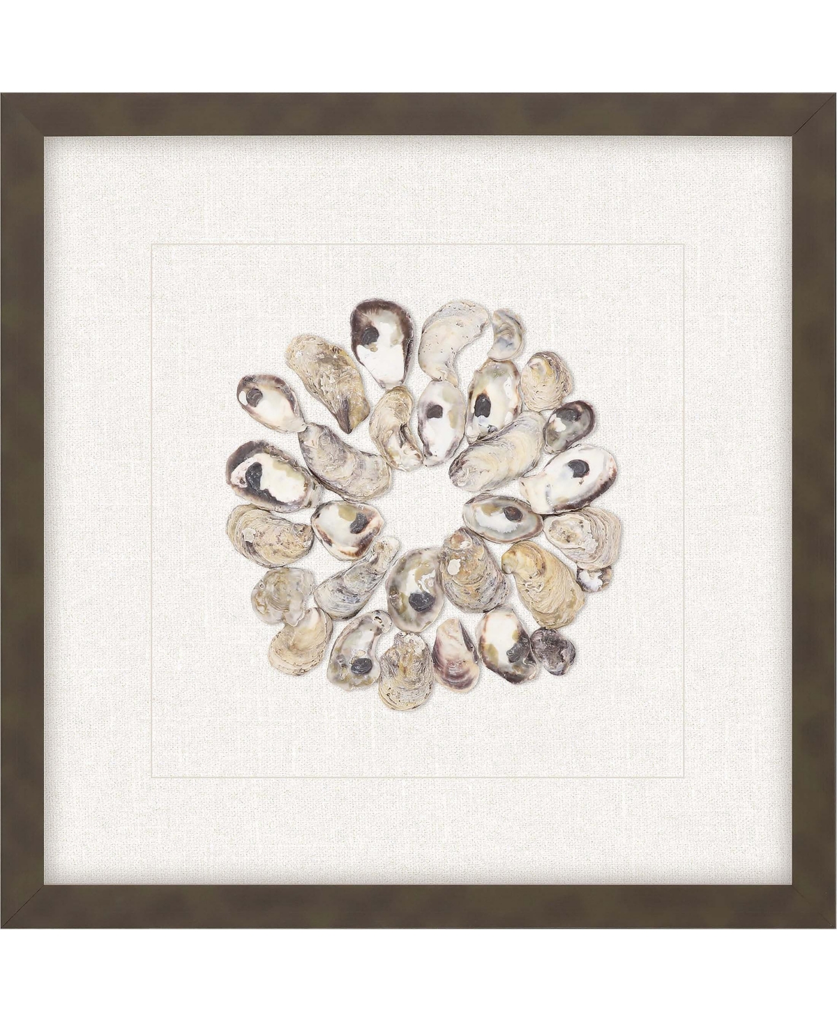 Paragon Picture Gallery Oyster Shell Ii Framed Art In Beige