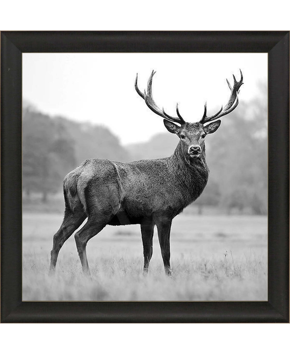 Paragon Picture Gallery Proud Deer Framed Art In Beige