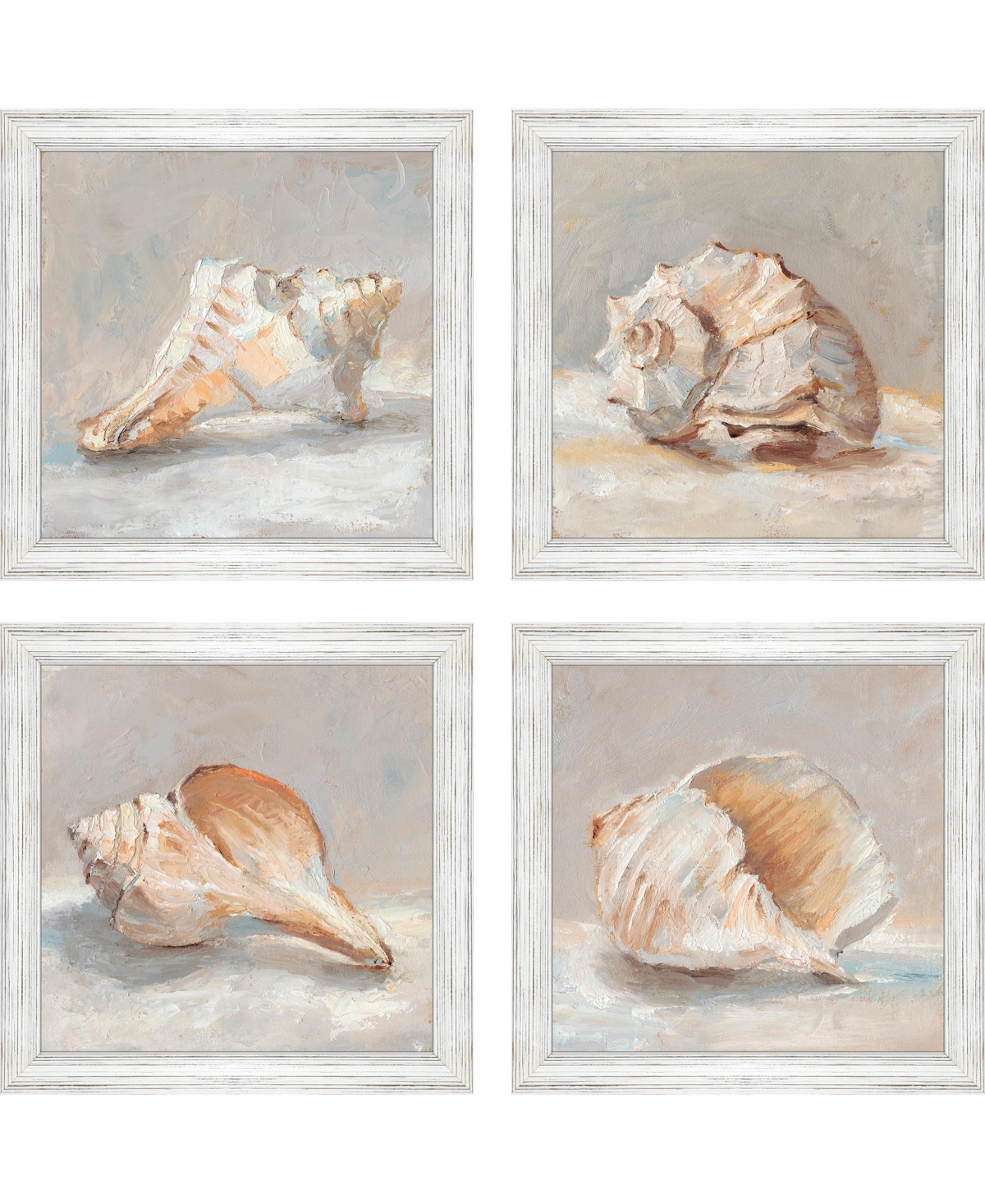 Paragon Picture Gallery Shell Study Framed Art, Set Of 4 In Blue