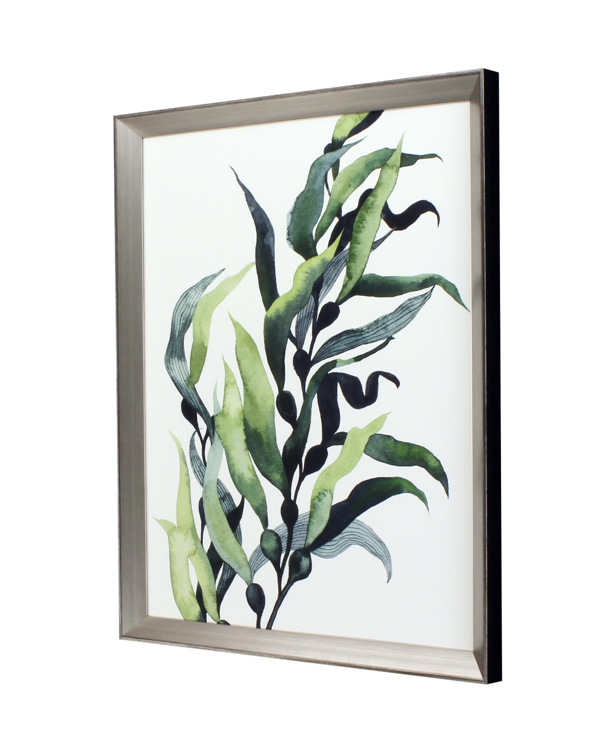 Shop Paragon Picture Gallery Through The Kelp Ii Framed Art In Green