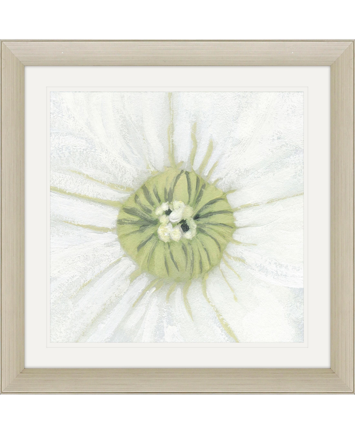 Paragon Picture Gallery Floral Fresh In White