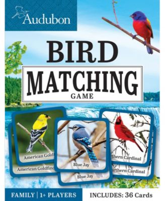 MasterPieces Licensed Audubon Matching Game for Kids and Families