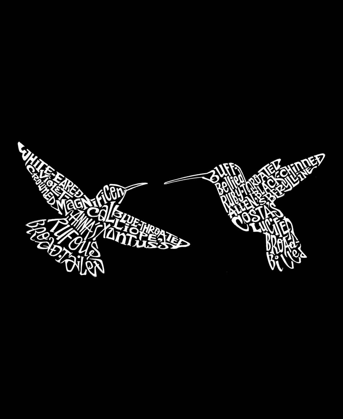 La Pop Art Men's Hummingbirds Printed Word Art T-shirt
