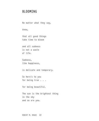 Empty Bottles Full of Stories by R.H. Sin