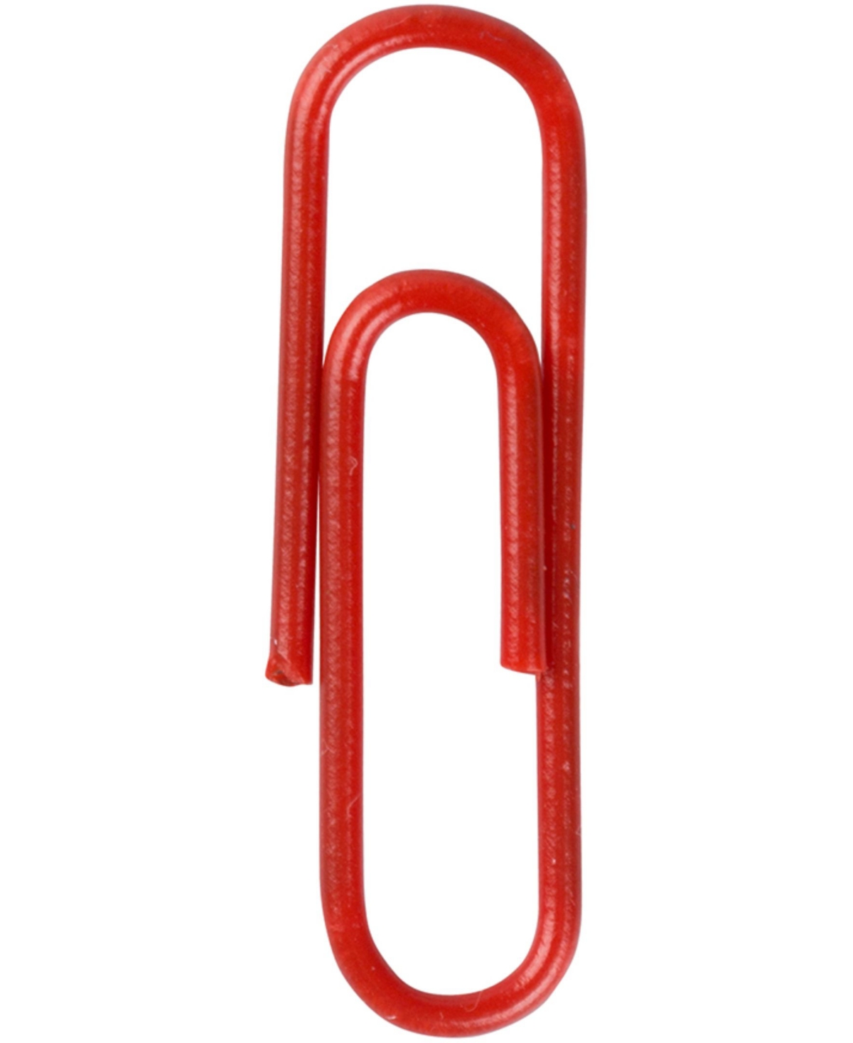 Shop Jam Paper Colorful Standard Paper Clips In Red