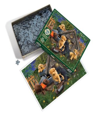 in The Doghouse Puzzle