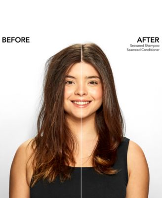 Seaweed Shampoo, 8.5 oz.