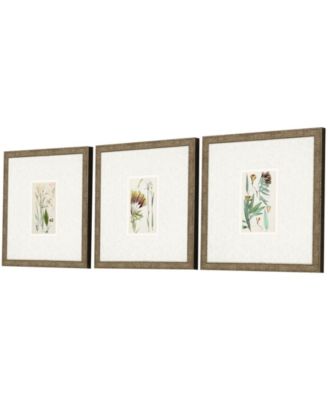 Antique-Like Botanical I Framed Art, Set of 3