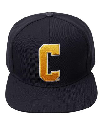 Men's Black Coppin State Eagles Arch Over Logo Evergreen Snapback Hat