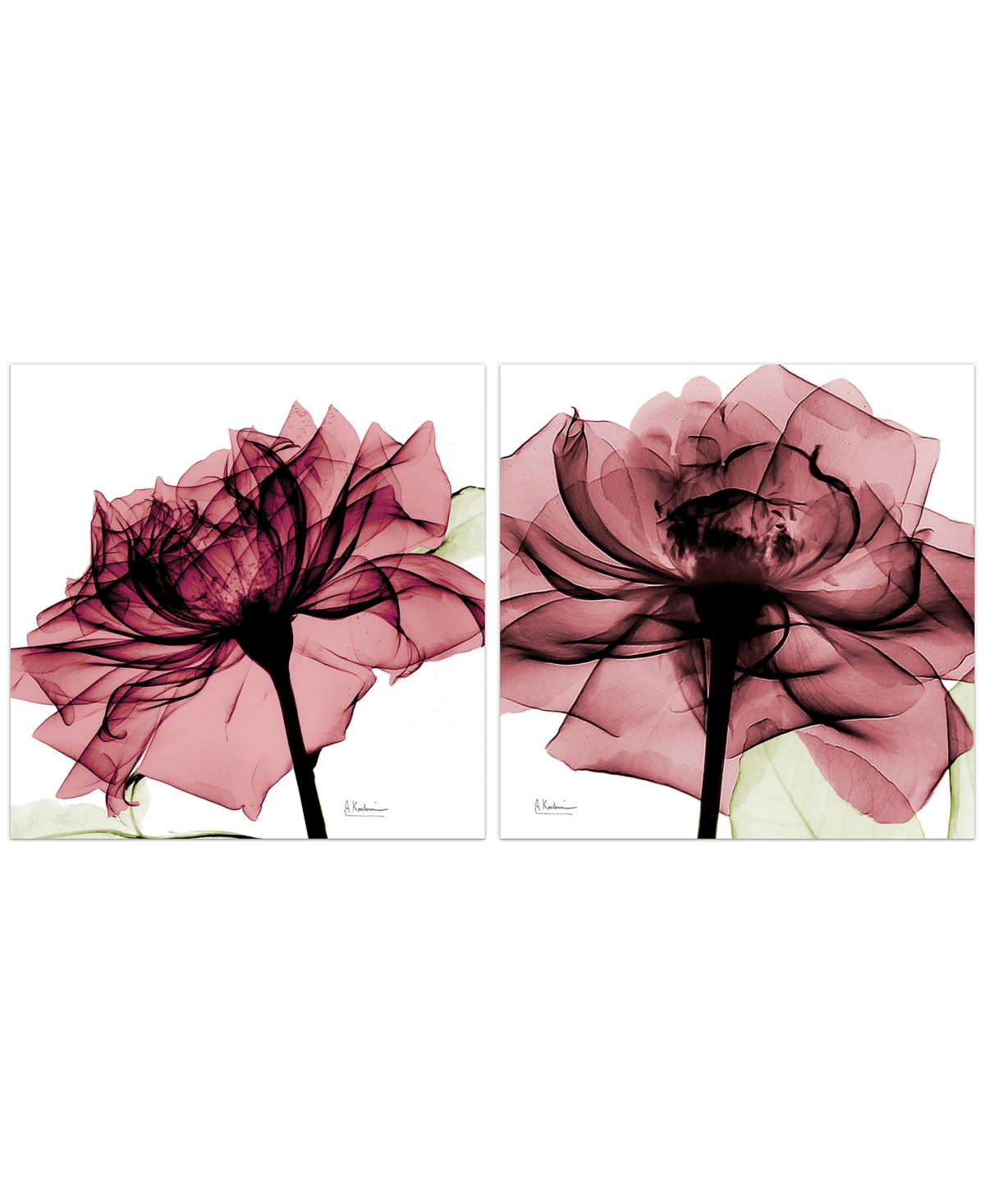Empire Art Direct Chianti Rose I Ii Frameless Free Floating Tempered Glass Panel Graphic Wall Art, 24" X 24" X 0.2" Ea In Pink