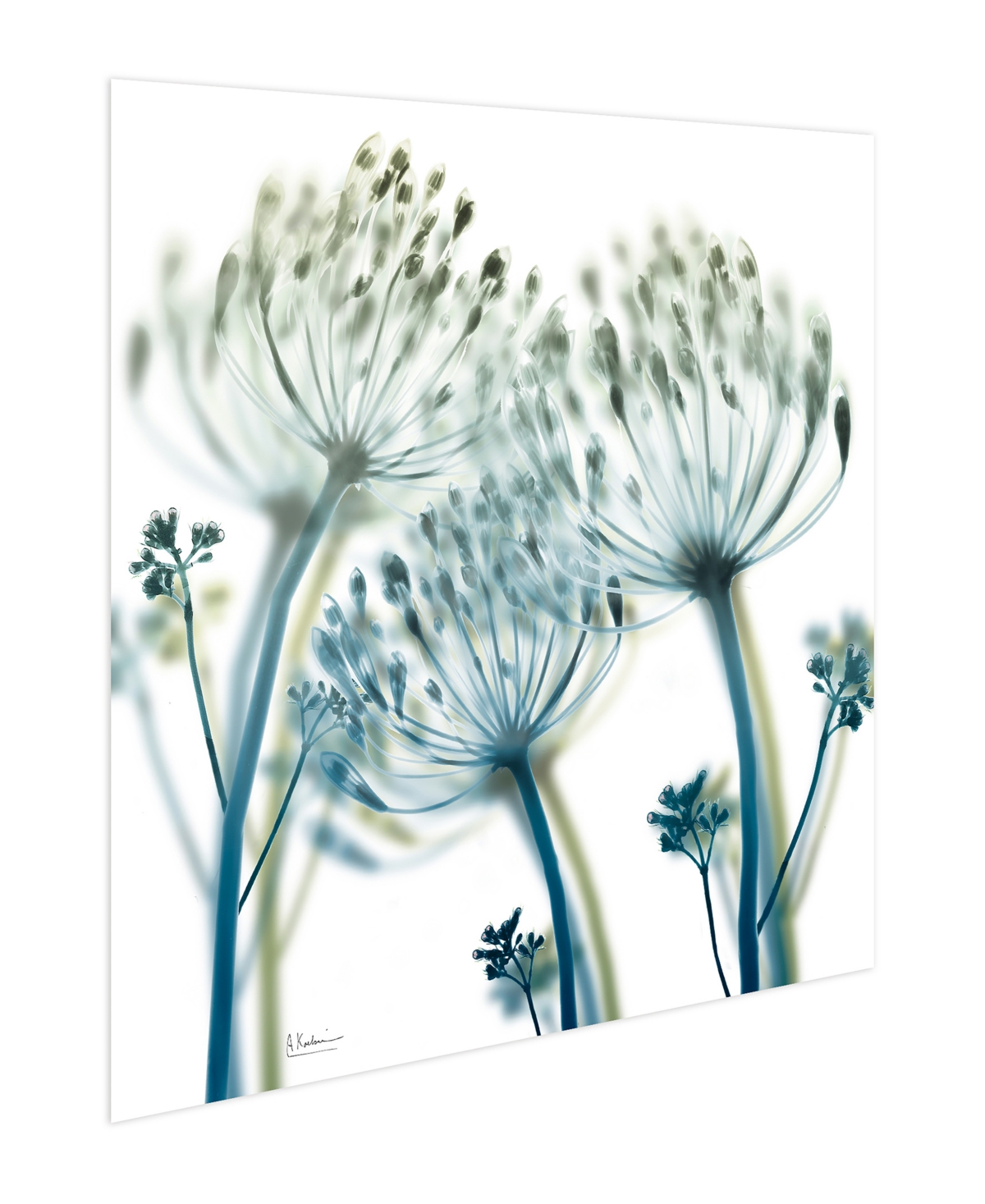 Empire Art Direct "unfocused Beauty 2" Frameless Free Floating Tempered Glass Panel Graphic Wall Art, 24" X 24" X 0.2" In Blue,green