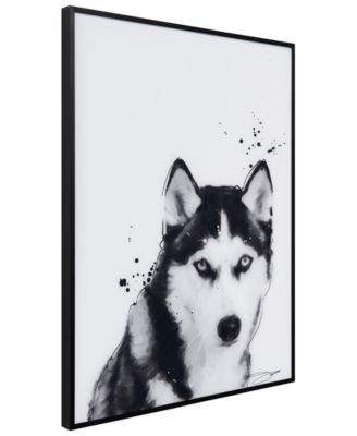 "Siberian Husky" Pet Paintings on Printed Glass Encased with a Black Anodized Frame, 24" x 18" x 1"