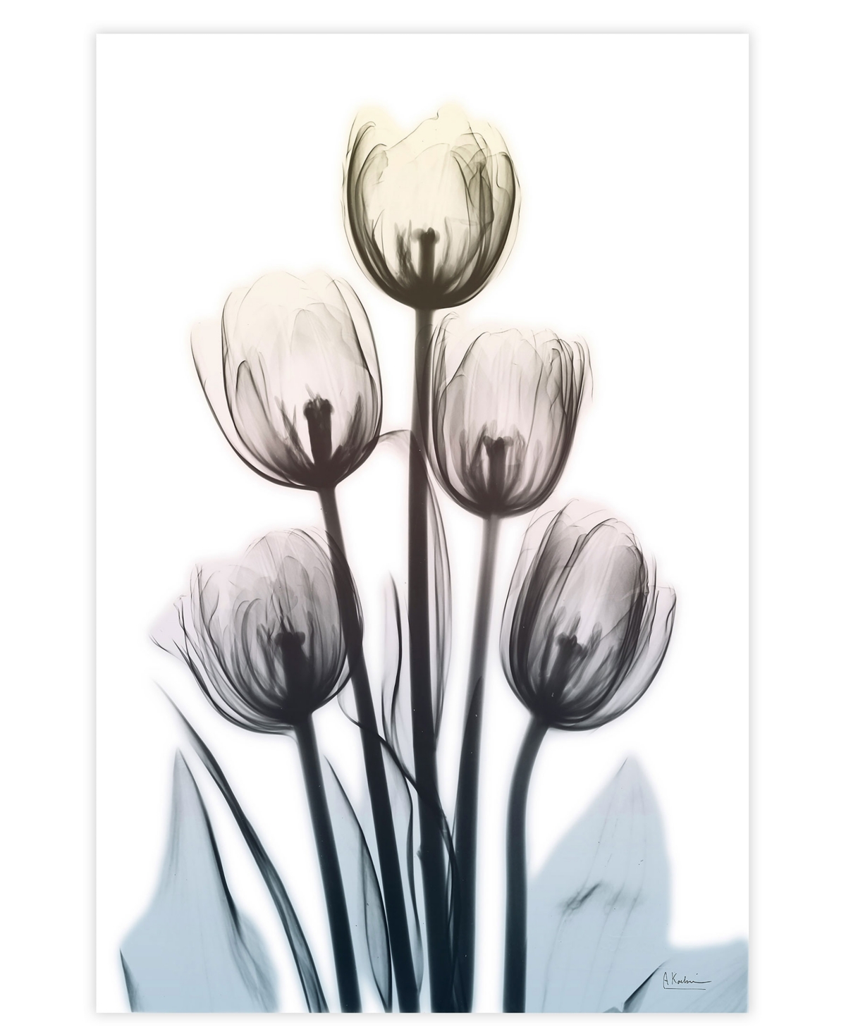 Empire Art Direct "springing Tulips" Frameless Free Floating Tempered Glass Panel Graphic Wall Art, 48" X 32" X 0.2" In Multi-color