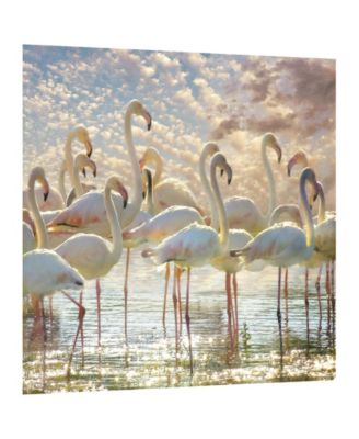 "Flamingo Flair" Frameless Free Floating Tempered Glass Panel Graphic Wall Art, 38" x 38" x 0.2"