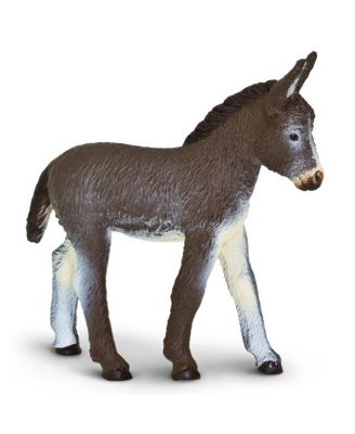 Donkey Foal Safari Farm