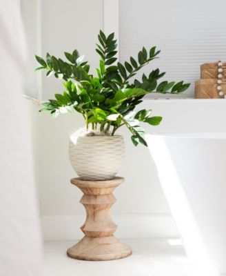 28" Artificial Zamioculcas Plant with Decorative Planter