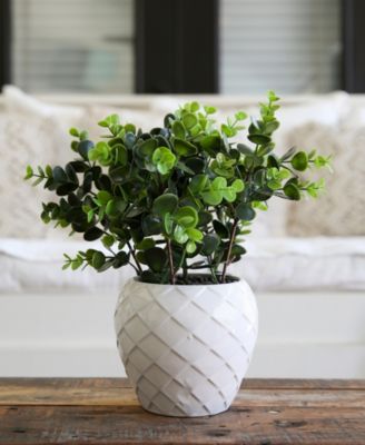 11" Artificial Boxwood Plant with Decorative Planter