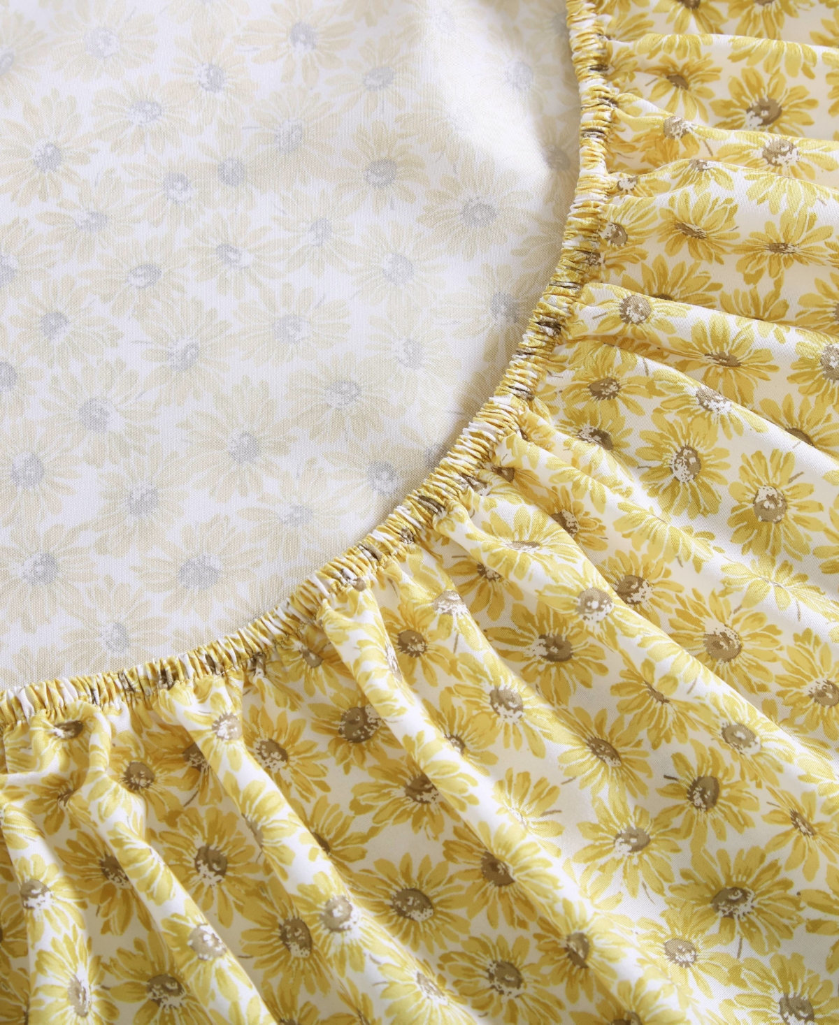 Betsey Johnson Sunflower Field Microfiber 4-Pc. Sheet Set