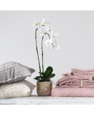 Hand-Painted Stoneware Planter with Gold-Tone Design, Holds 5" Pot