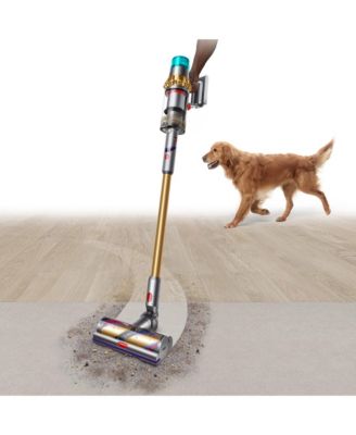 V15 Detect Absolute Cordless Vacuum