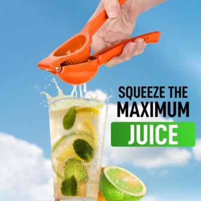 Premium Quality Metal Lime Manual Squeezer