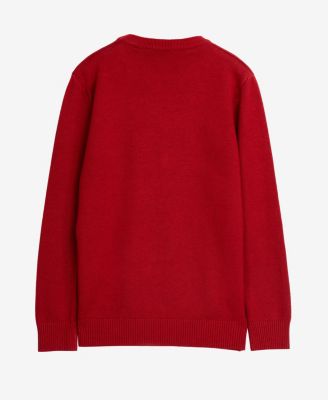 Boy's Basic Crew Neck Sweater
