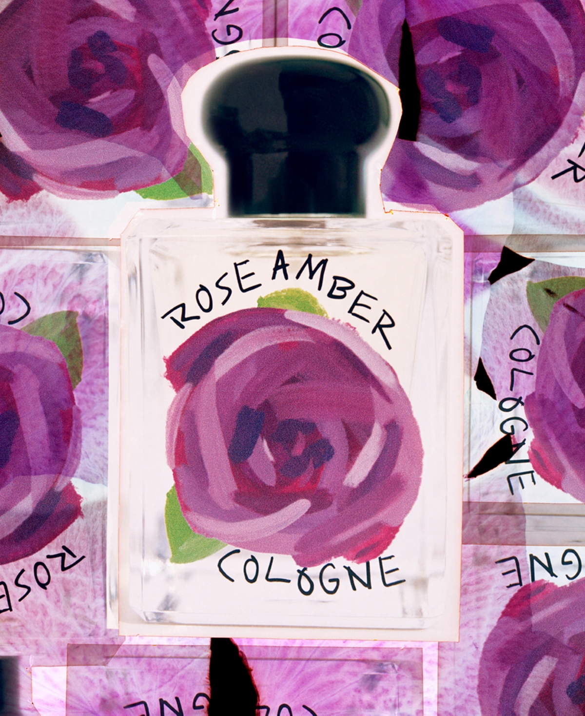 Shop Jo Malone London Rose Amber Cologne, 1.7 Oz. In No Color