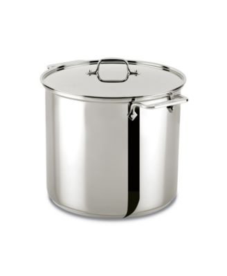 All-Clad 3 QT Stainless Steel All-Purpose Food Steamer & Lid 