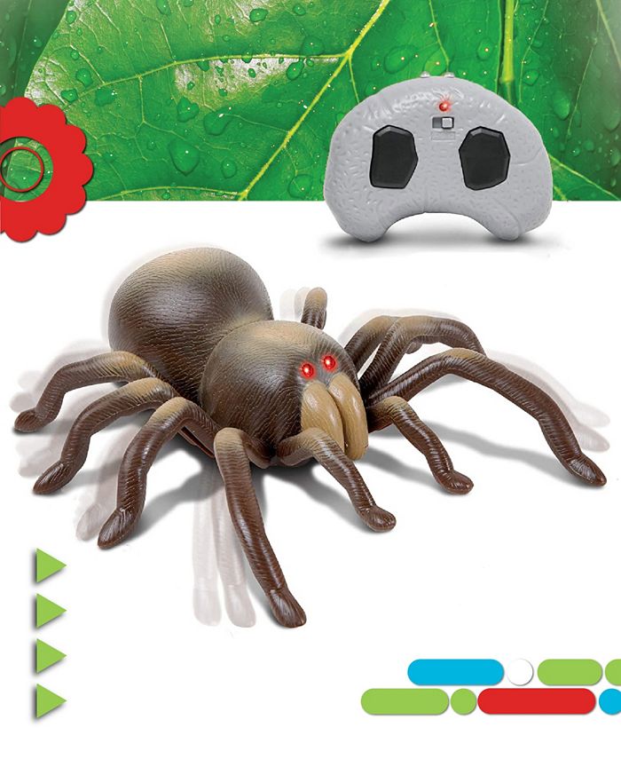 Discovery Kids Remote Control Moving Tarantula Spider Toy - Macy's