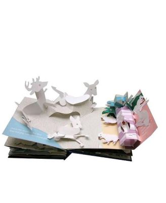 Winter's Tale- An Original Pop-Up Journey by Robert Sabuda