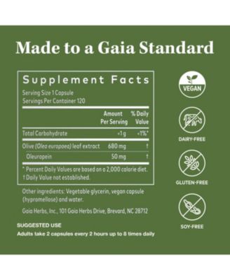 Olive Leaf - Traditional Immune Health Support - Immune System Supplement with Olive Leaf Extract and Oleuropein - 120 Liquid Phyto-Caps