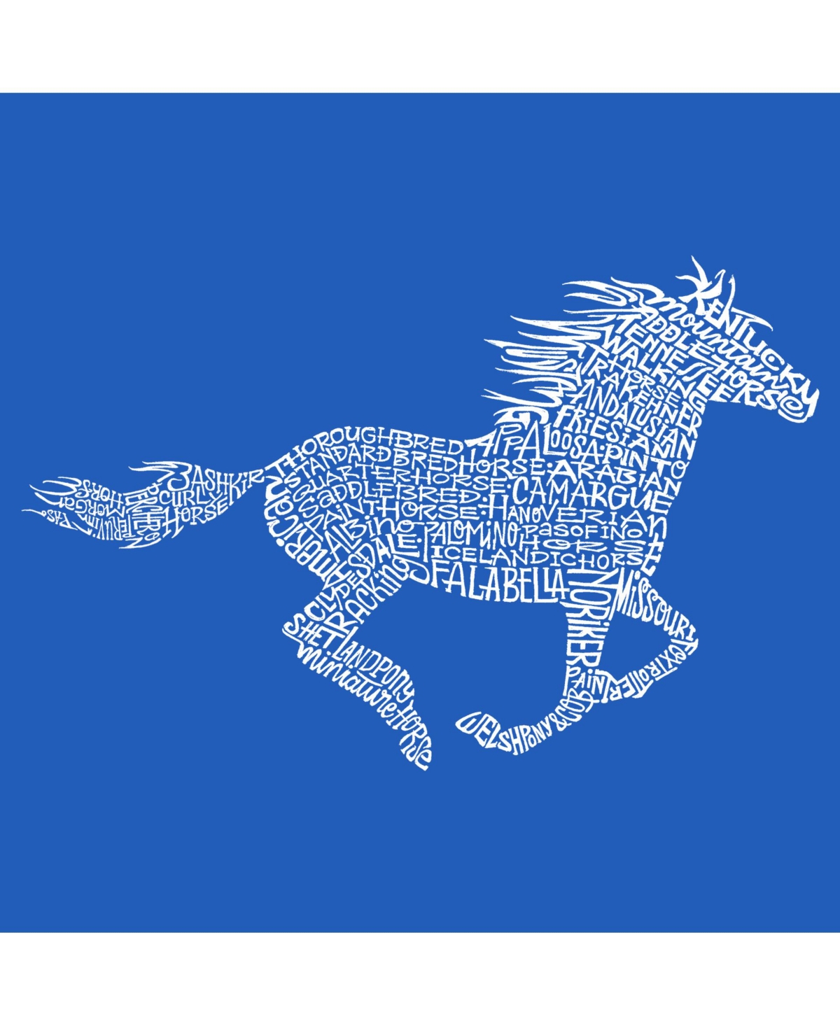 Horse Breeds - Big Boy's Word Art Crewneck Sweatshirt