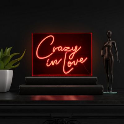 Crazy In Love Contemporary Glam Acrylic Box USB Operated LED Neon Light