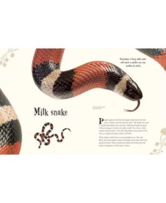 An Anthology of Intriguing Animals by DK