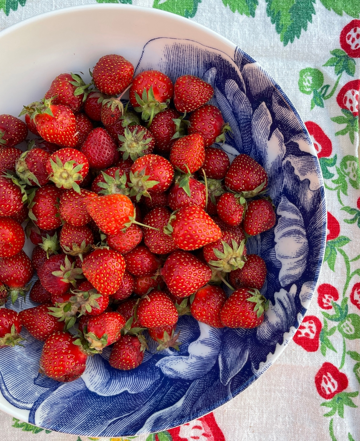 Caskata Peony Wide Serving Bowl