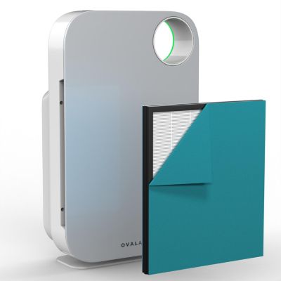 OVAL AIR H13 HEPA 5-in-1 Air Purifier with 600 sq. ft. Coverage for Allergy and Odor Reduction