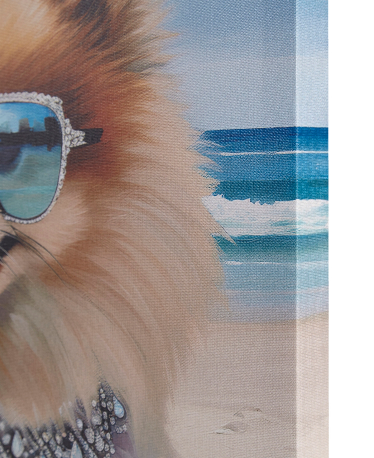 Madison Park Beach Dogs Pomeranian Canvas Wall Art In Open Blue