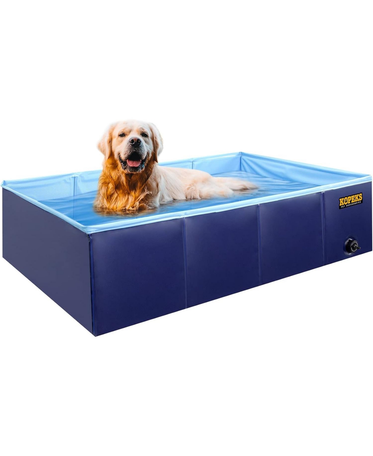 Outdoor Rectangular Pet Pool Large - Blue