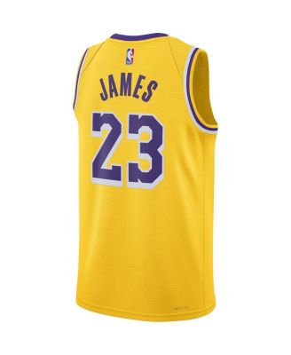 Men's and Women's LeBron James Los Angeles Lakers Swingman Jersey