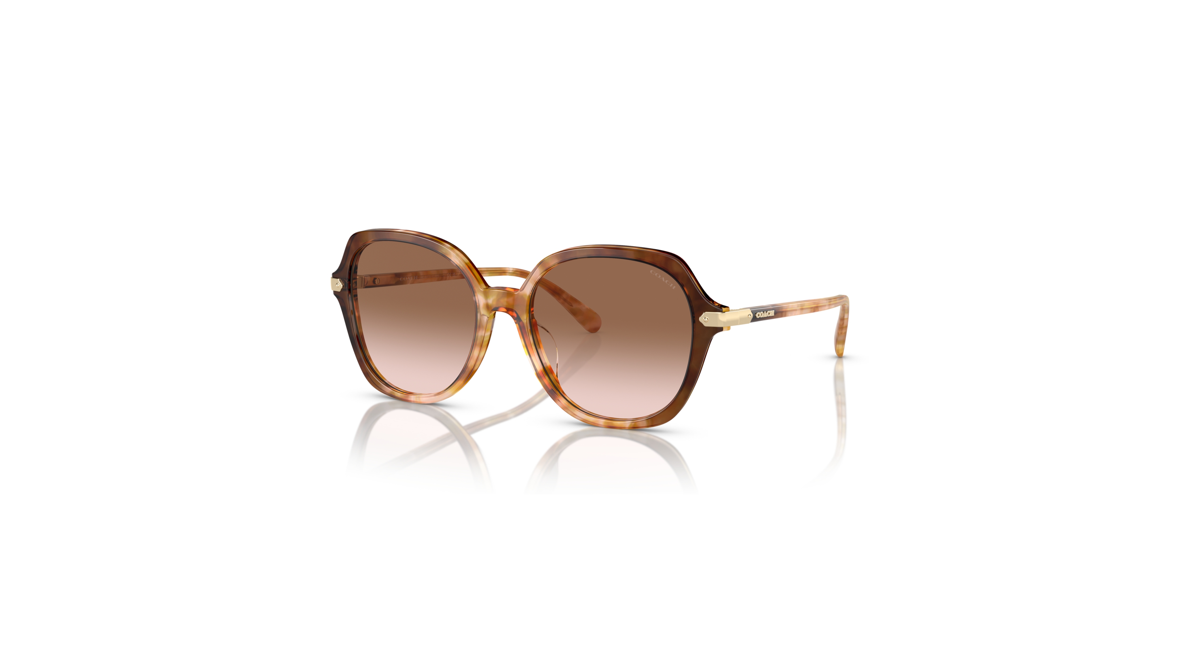 Coach Women's CL925 Sunglasses, Gradient HC8377U