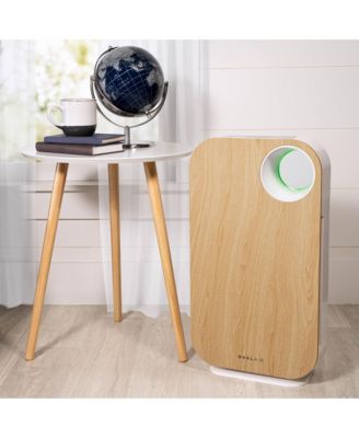 OVAL AIR H13 HEPA 5-in-1 Air Purifier with 600 sq. ft. Coverage for Allergy and Odor Reduction