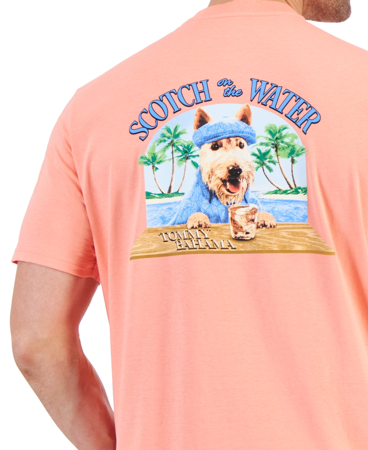 Shop Tommy Bahama Men's Scotch On The Water Graphic T-shirt In Shellrossa