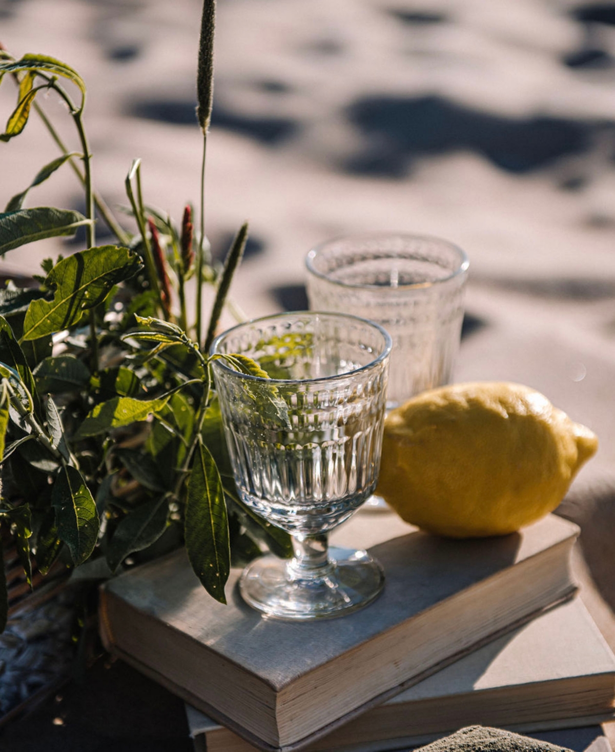 Shop La Rochere 7 Oz. Coastal Wine Glass, Set Of 6 In Clear