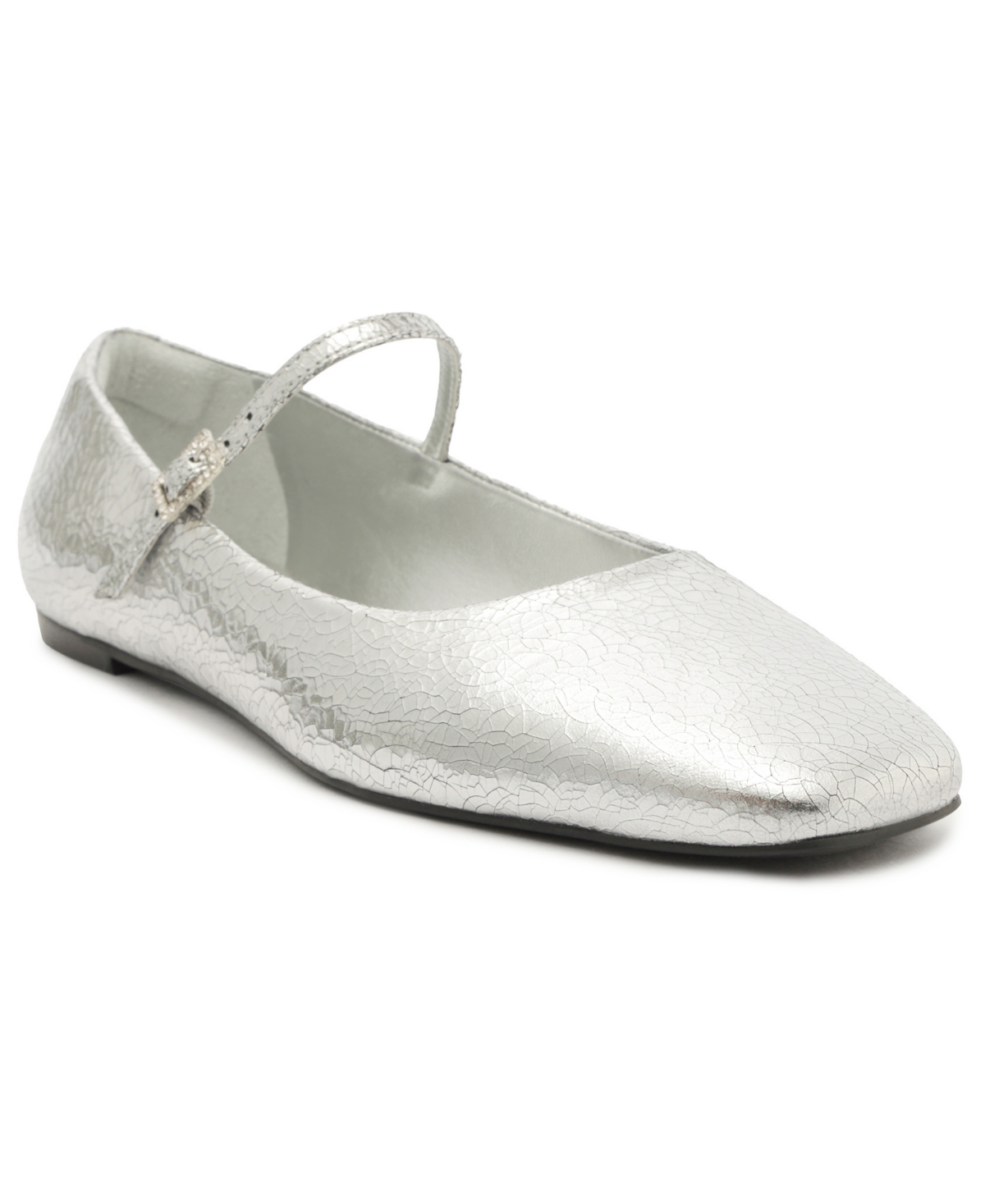 Arezzo Women's Eleanor Ballet Flats In Silver Leather