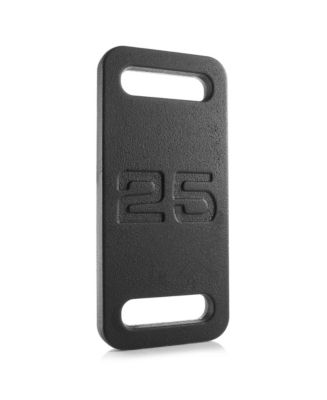 Philosophy Gym Cast Iron Ruck Weight - 25 LB Weighted Fitness Plate ...