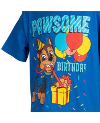 Nickelodeon Chase Birthday Boys Graphic T-Shirt Toddler| Child