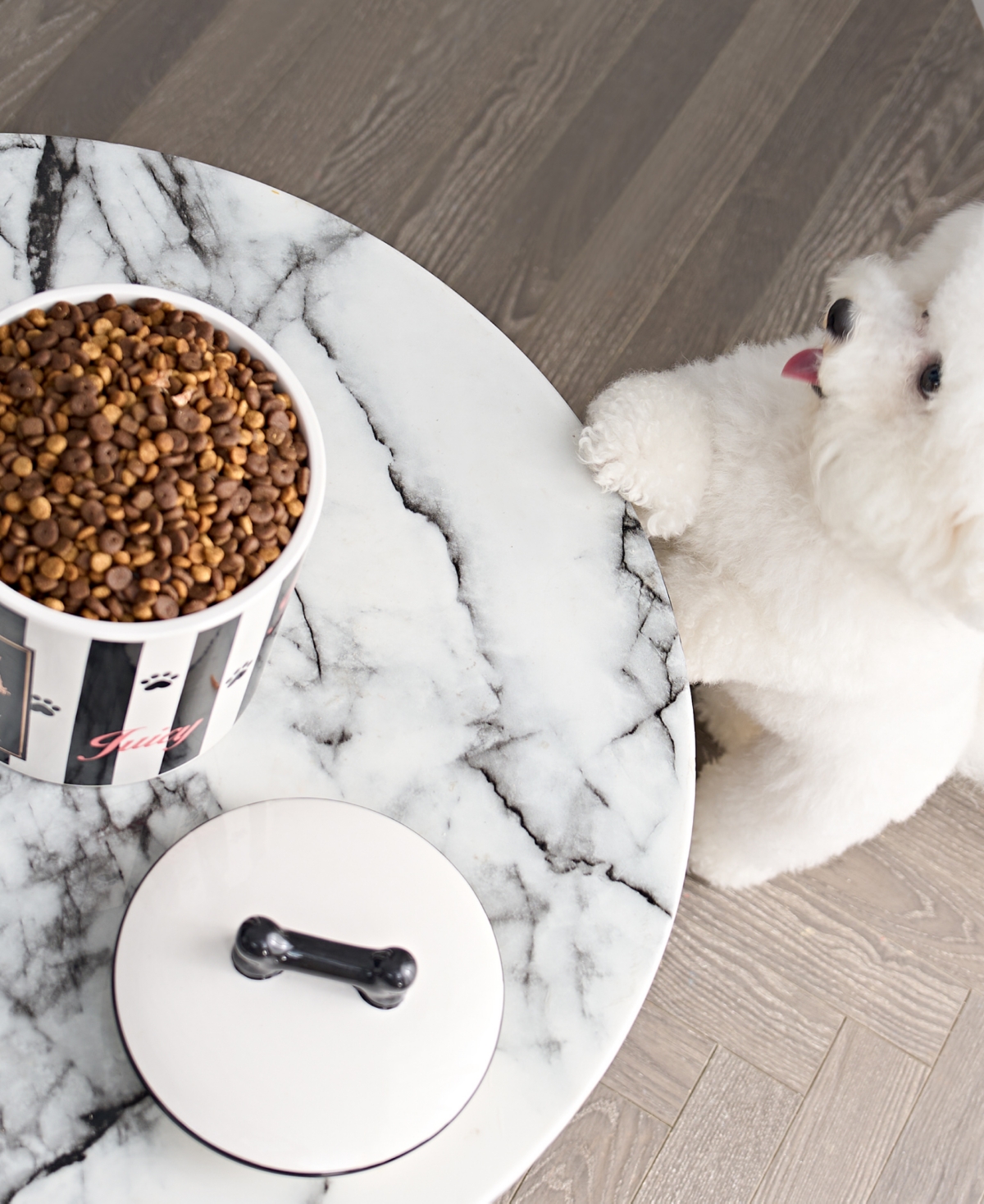 Juicy Couture Ceramic Treat Canister Stripe Pet Treat Container Dog or Cat Treat Jar